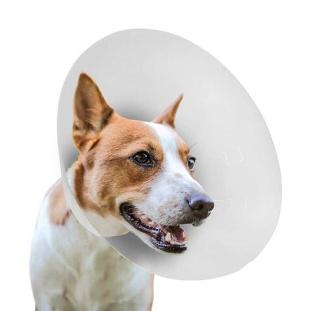 collar-isabelino-msistem-n-3