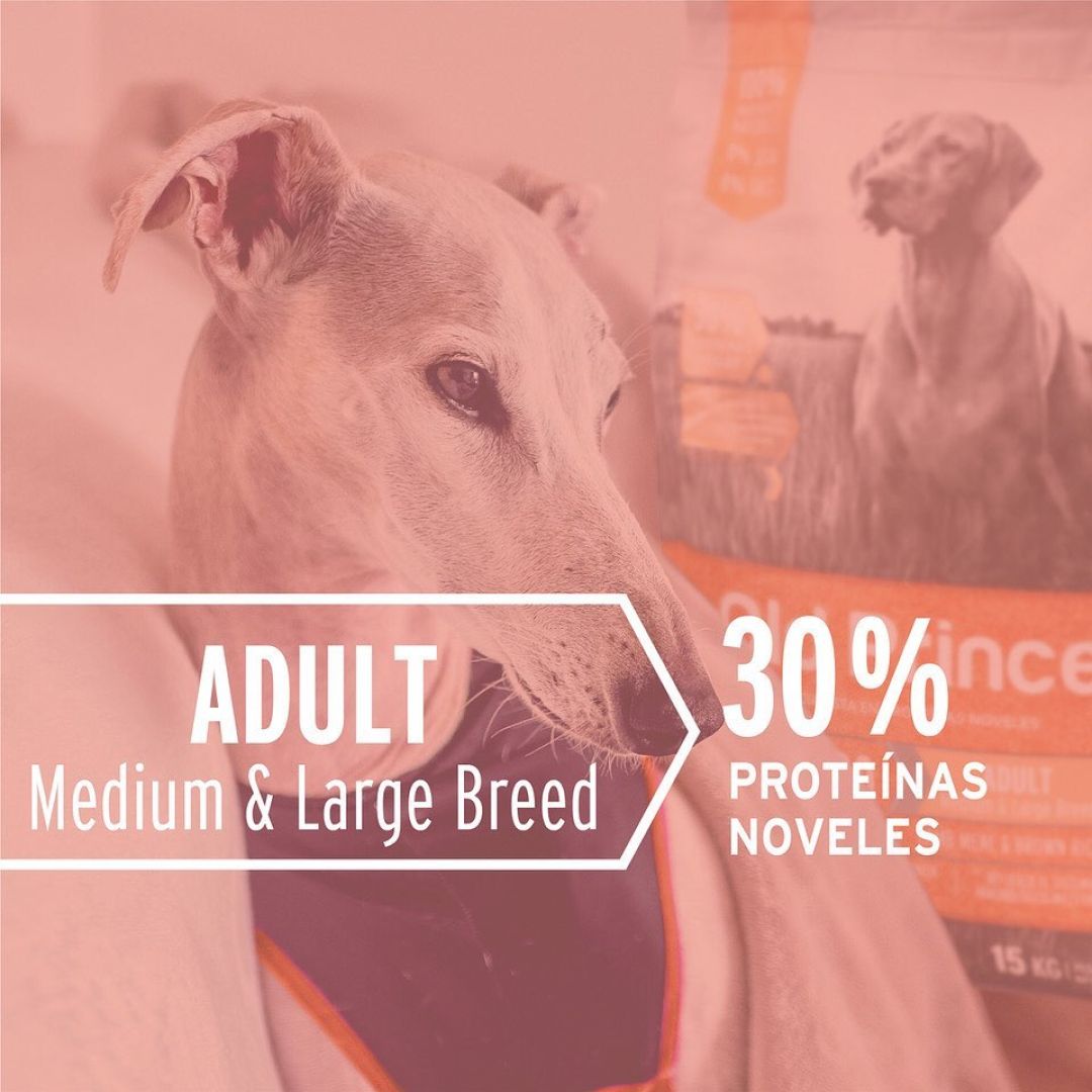 old-prince-novel-ad-c-y-a-lb-75-kg