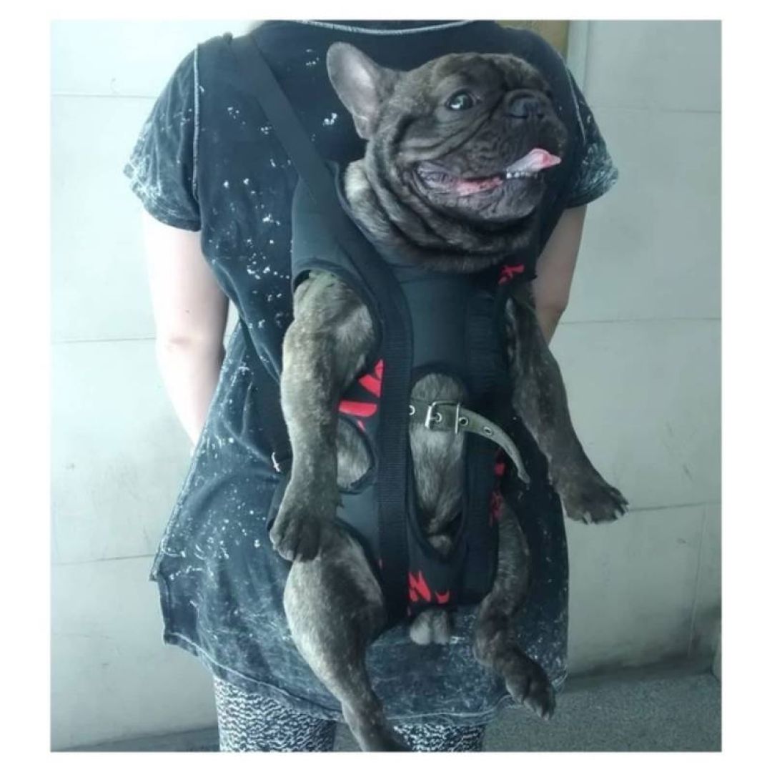 mochila-pperros-chunis-xxl-especial