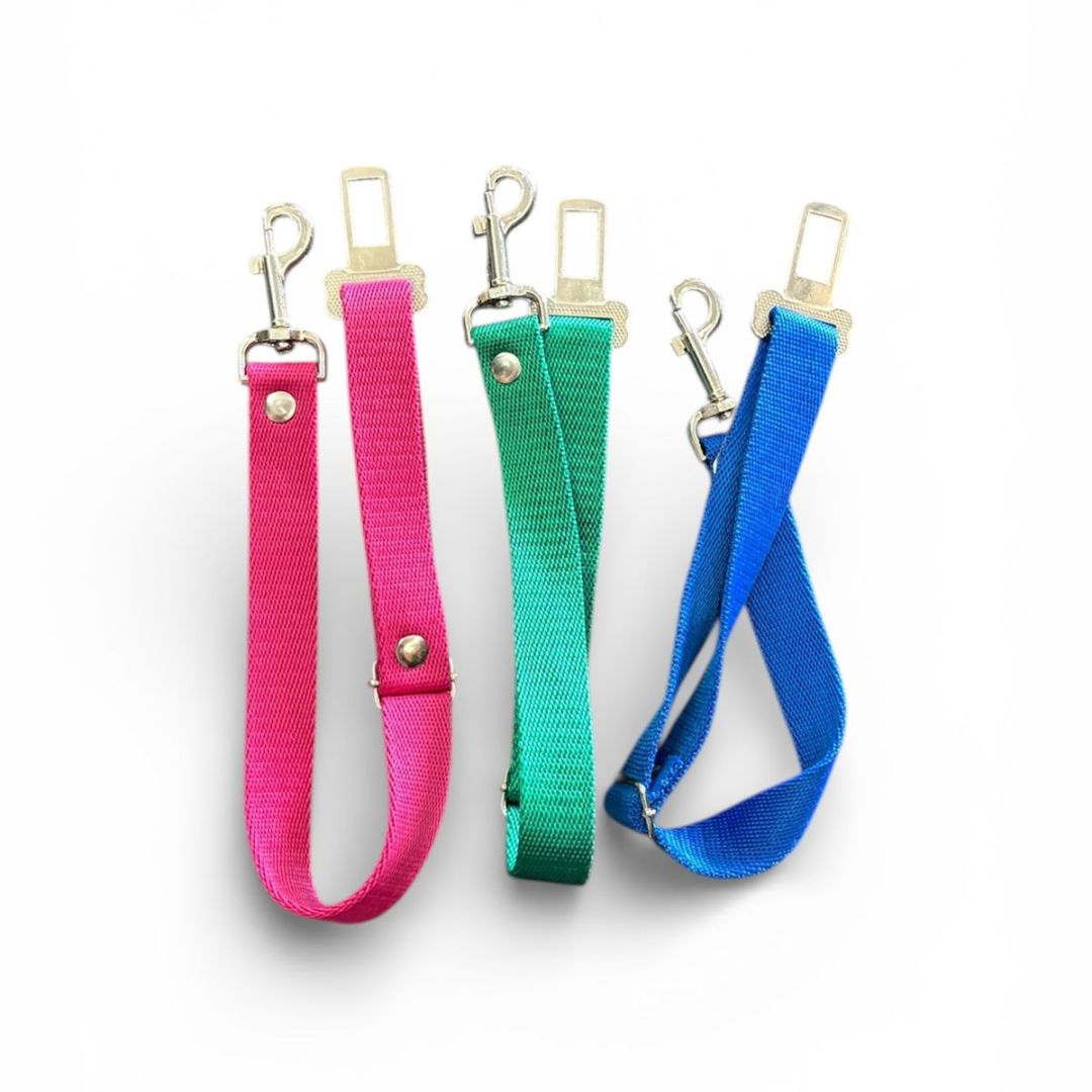 cinturon-seguridad-supercancheros