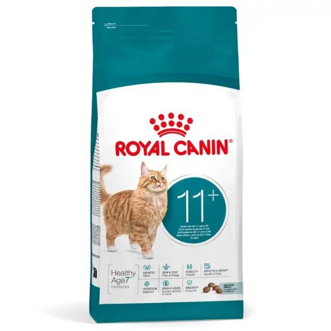 ageing-11-gato-2-kg-23502