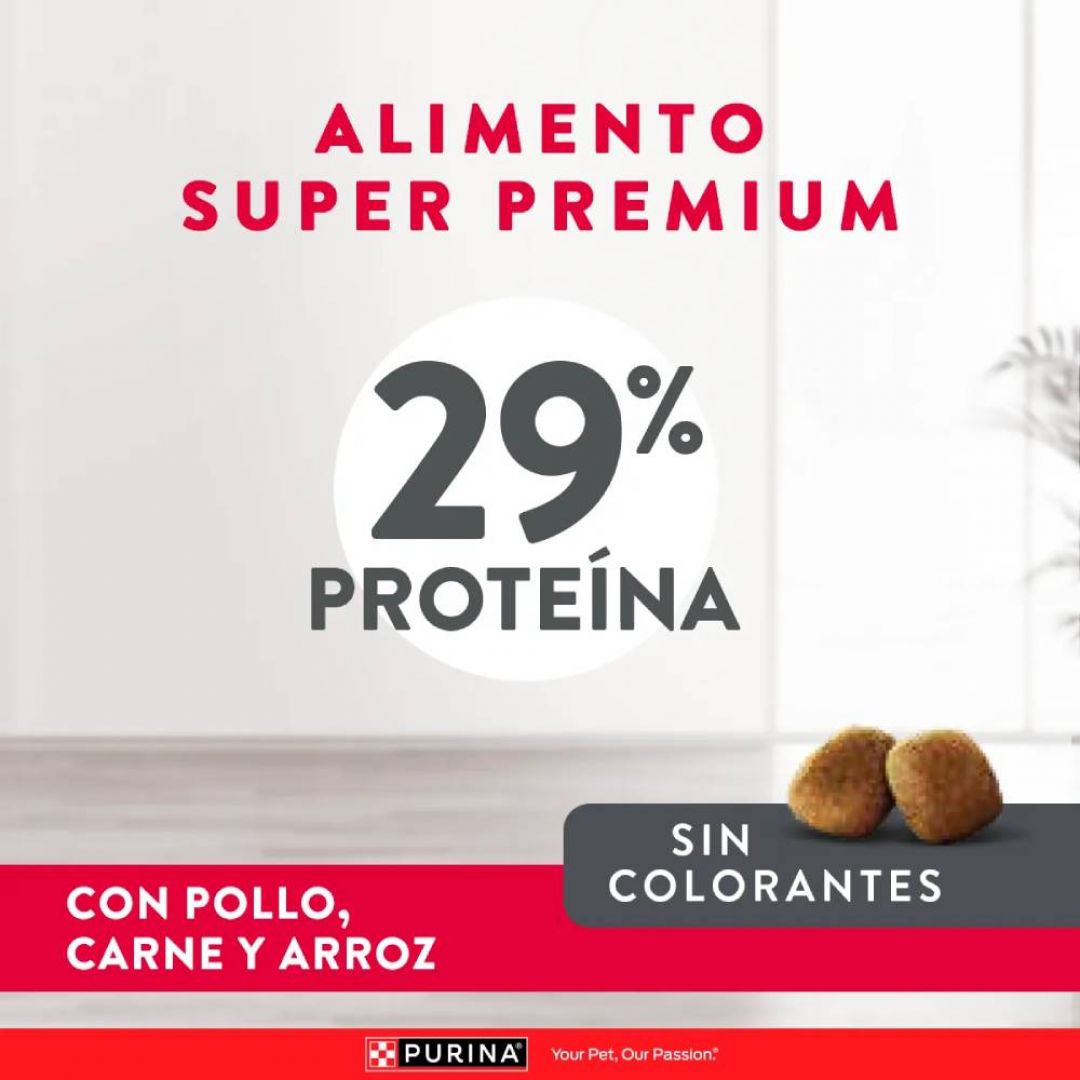 excellent-puppy-rp-3-kg
