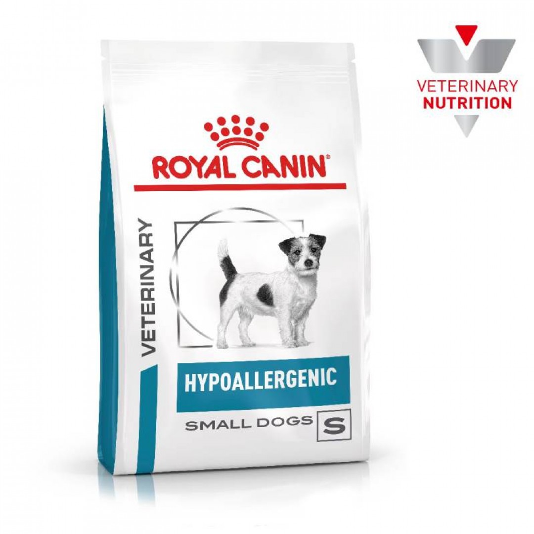 hypoallergenic-dog-small-2-kg