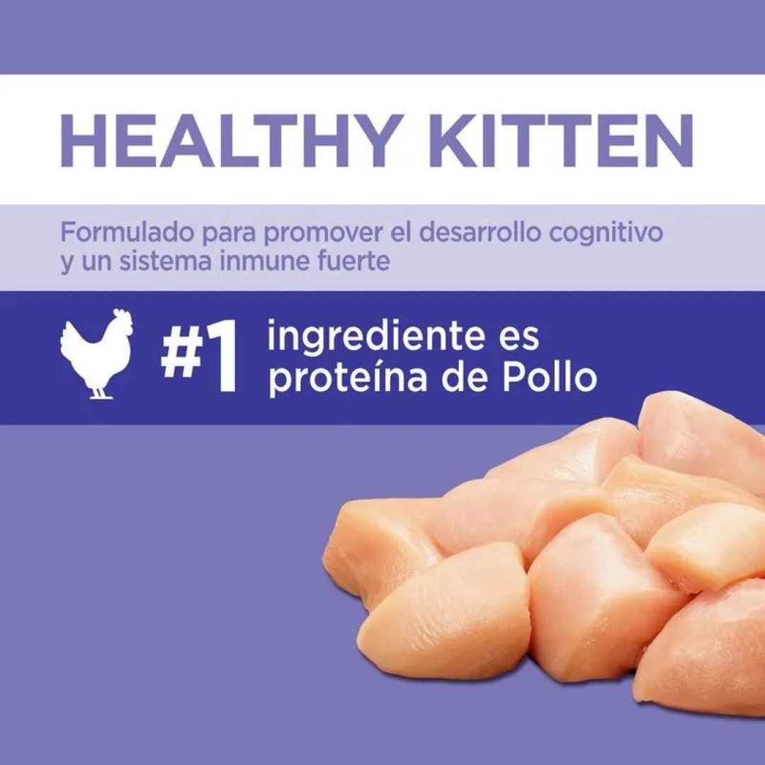 iams-kitten-1-kg