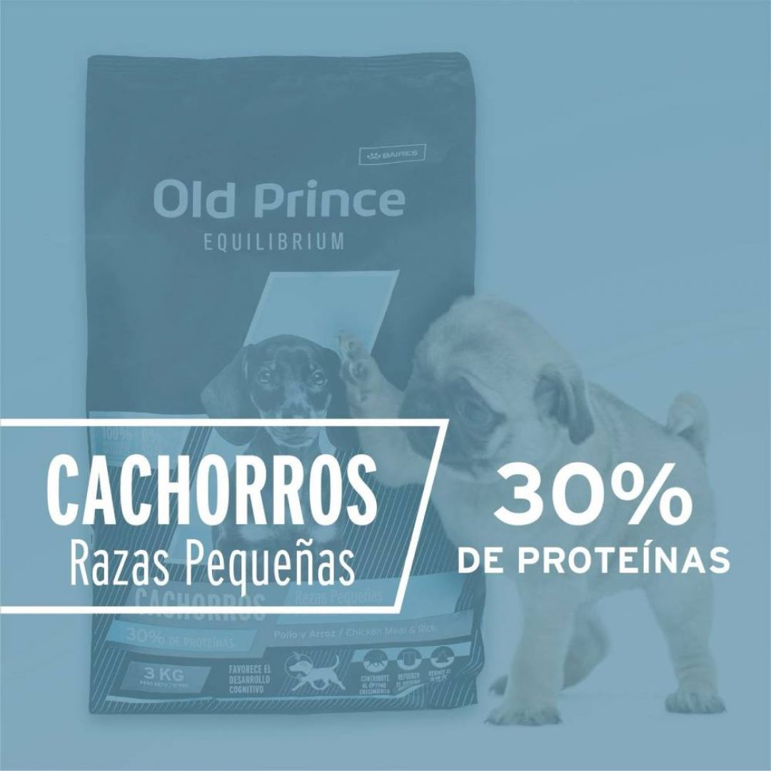 old-prince-equil-cachorro-sb-3-kg