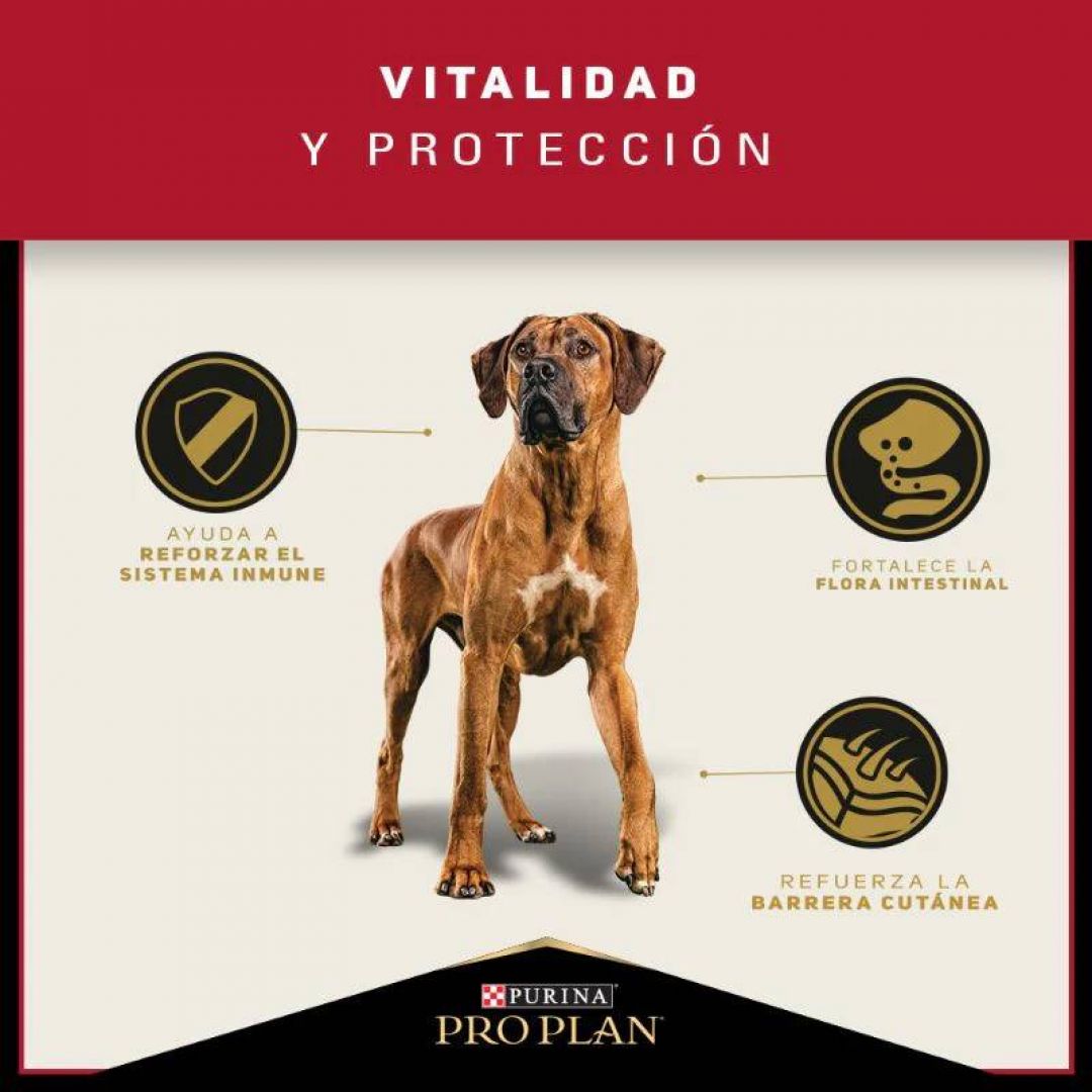 pro-plan-ad-lb-15-kg