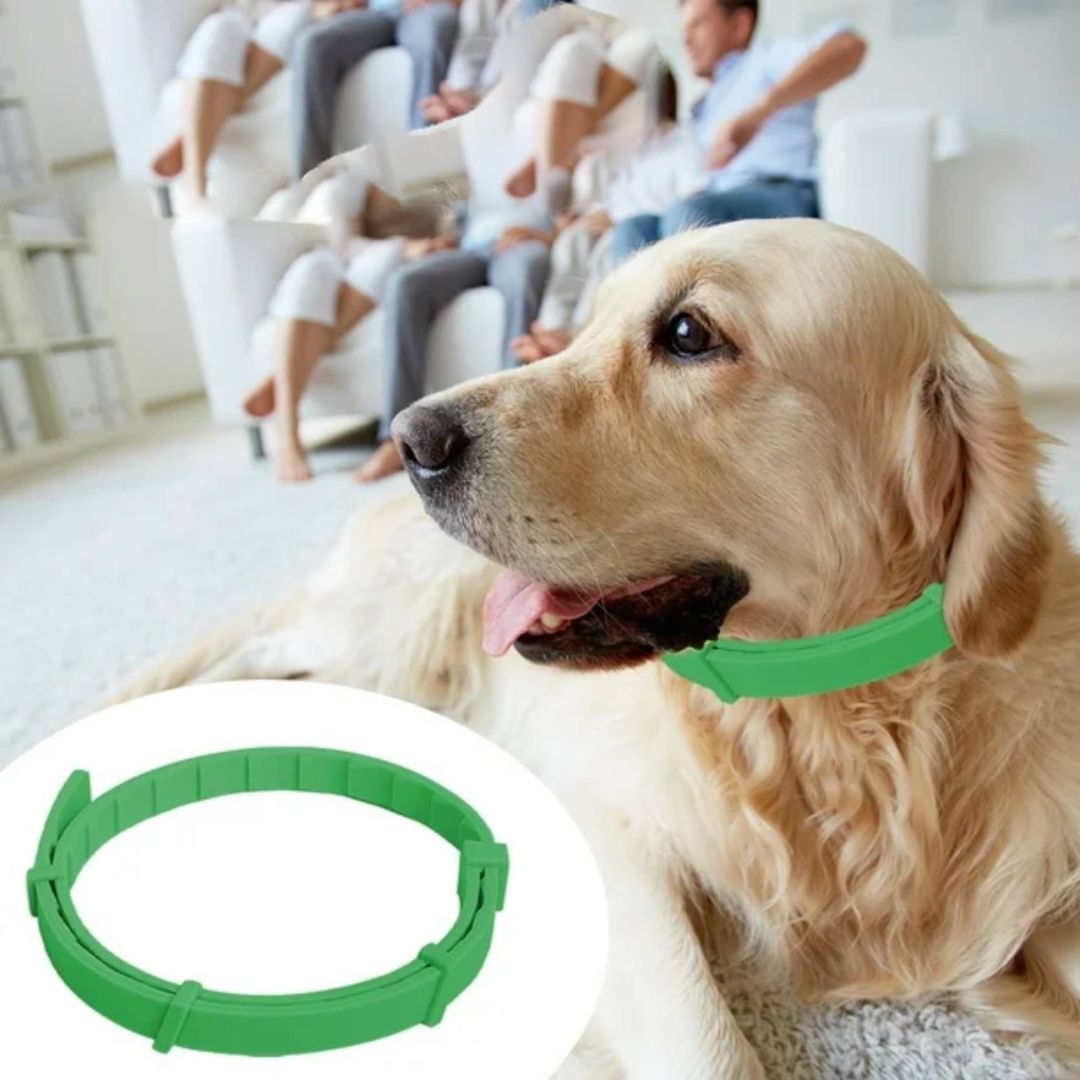 collar-antipulgas-tea-327-cachorros