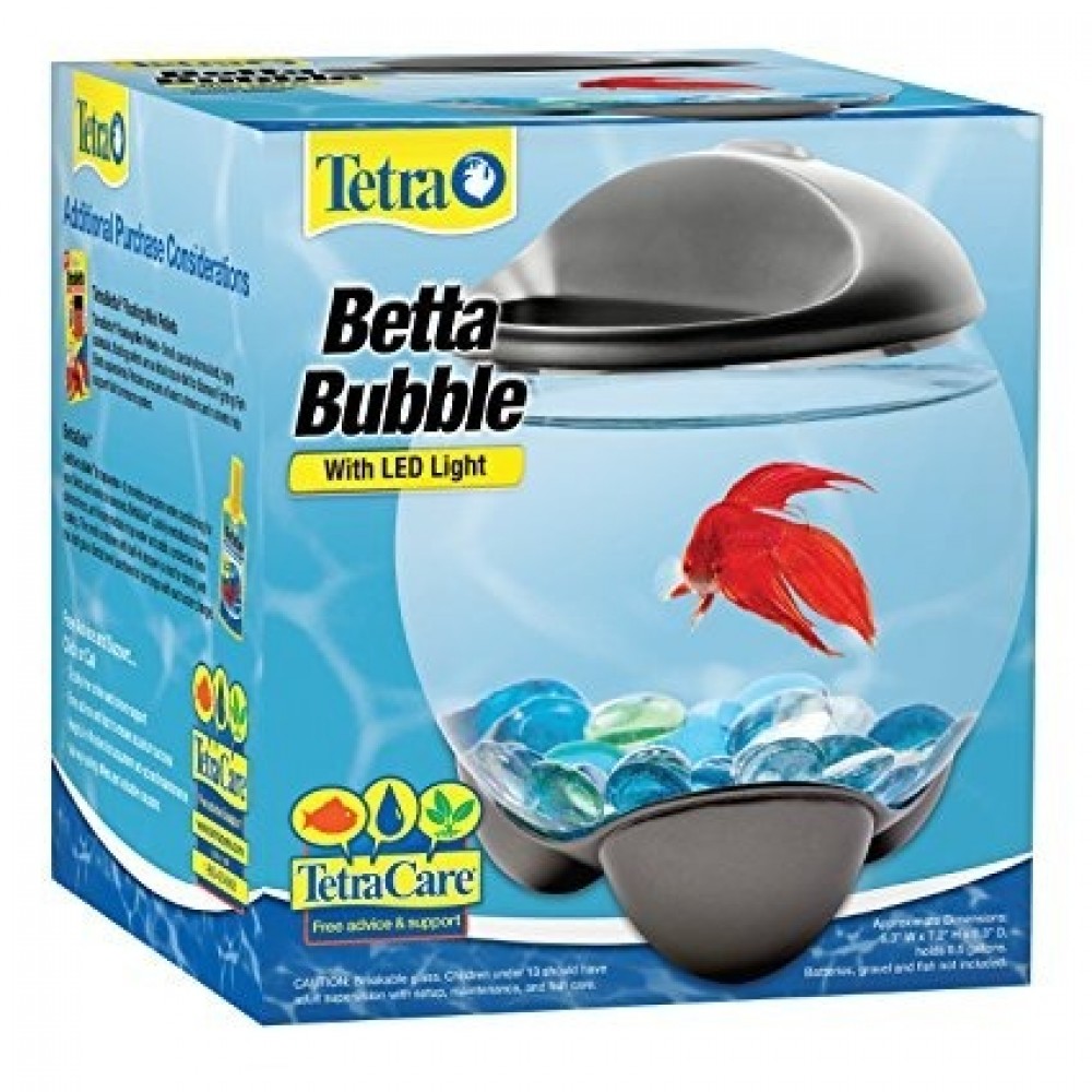 betta-bubble