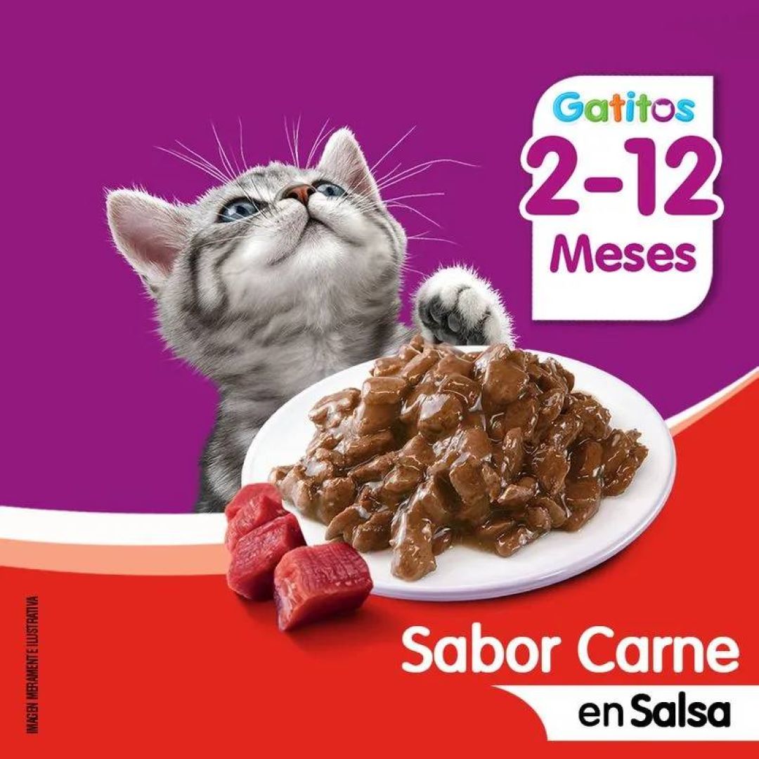 whiskas-pouch-gatitos-carne