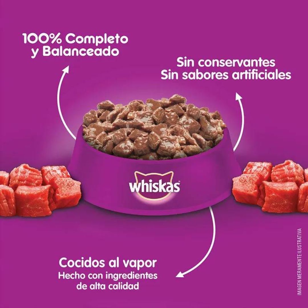 whiskas-pouch-carne
