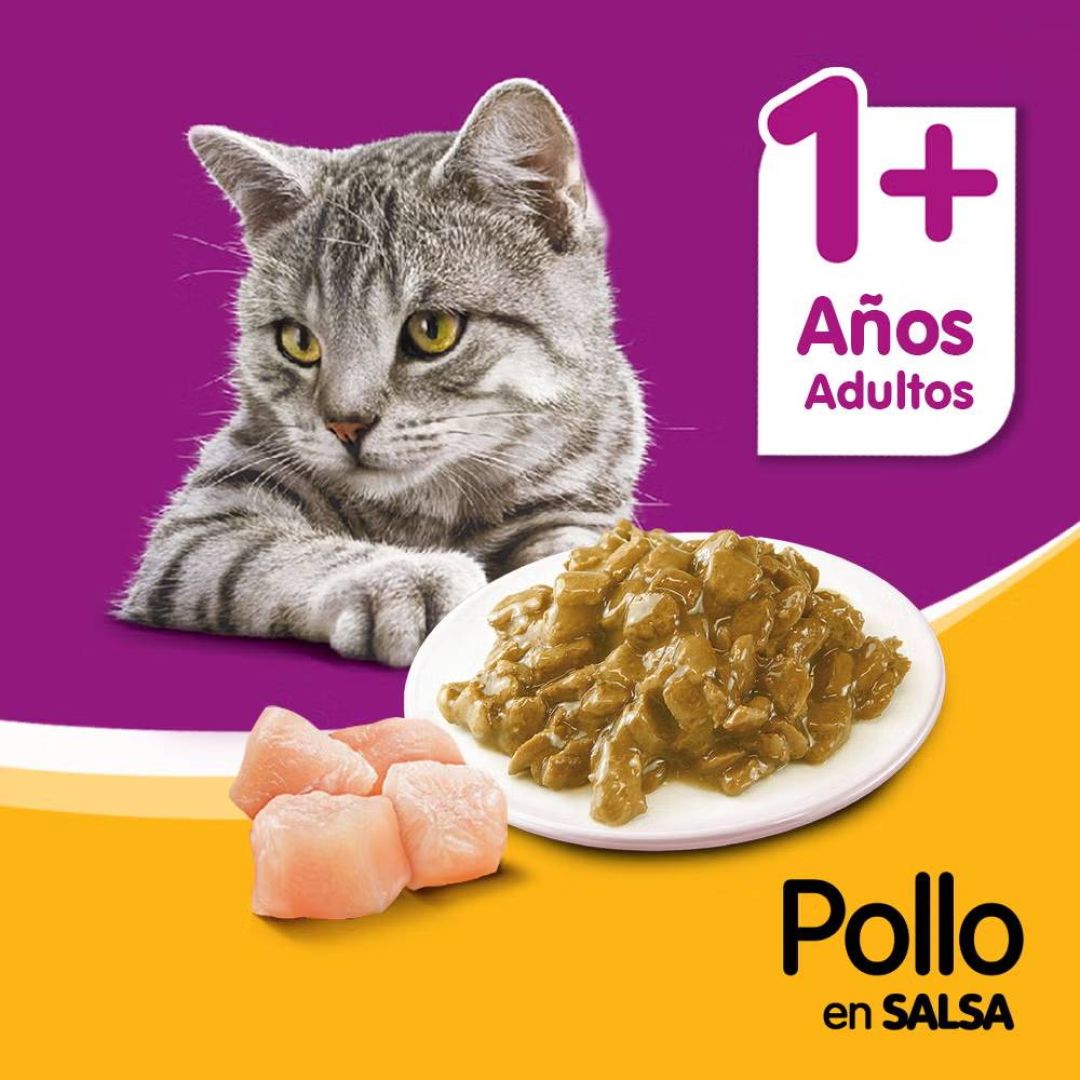 whiskas-pouch-pollo