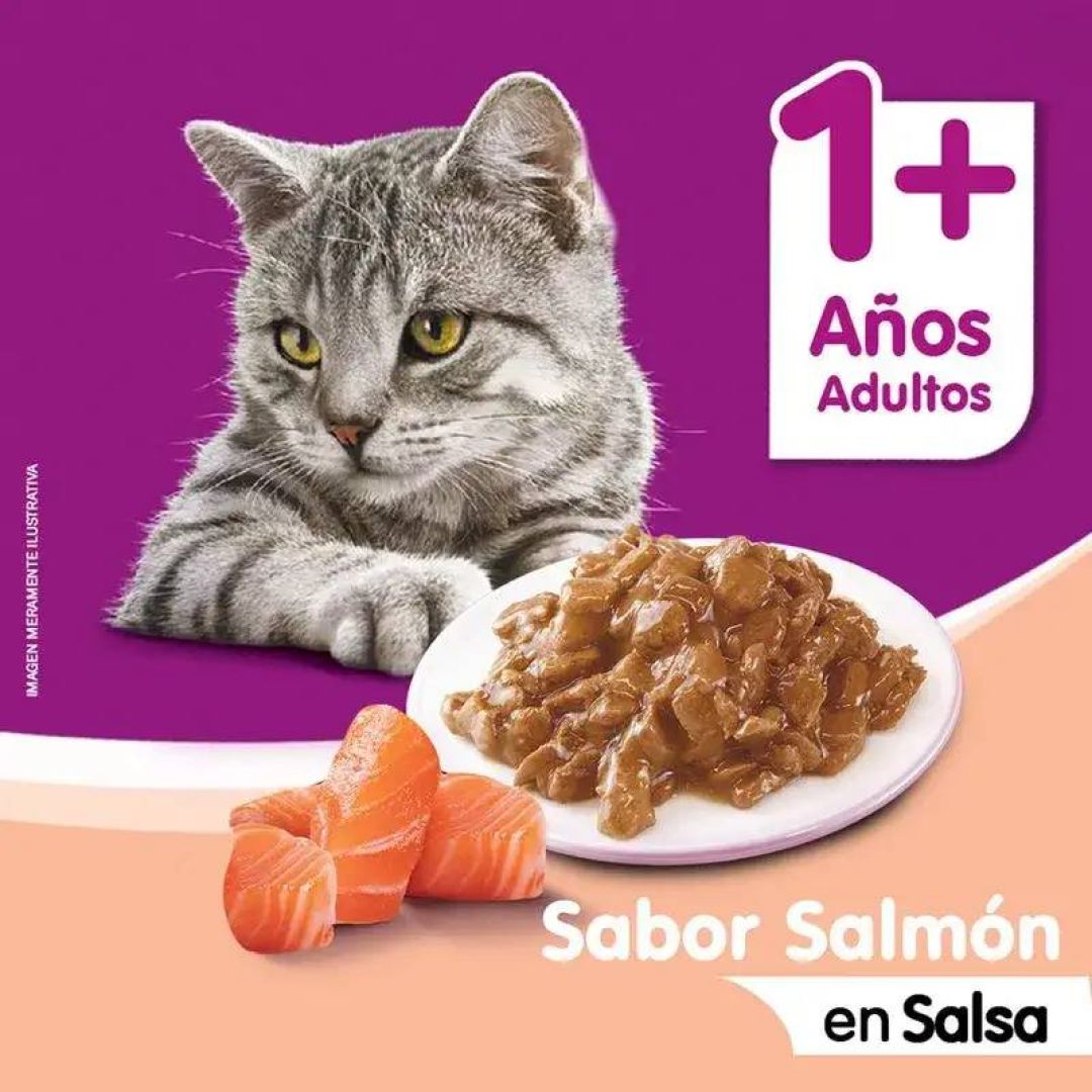 whiskas-pouch-salmon