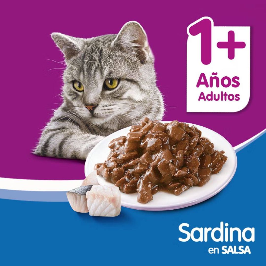 whiskas-pouch-sardina